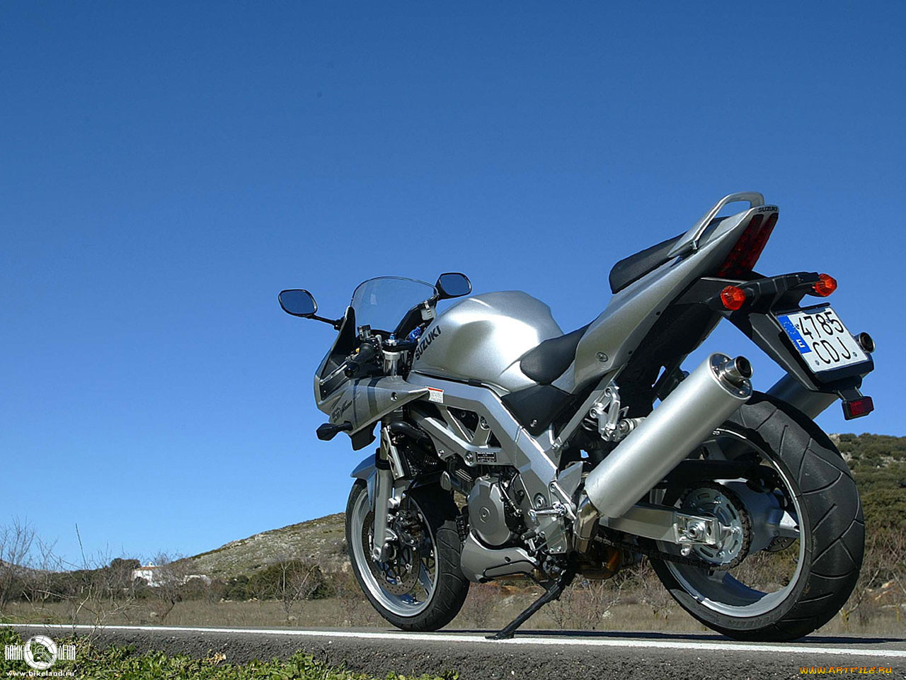 , suzuki